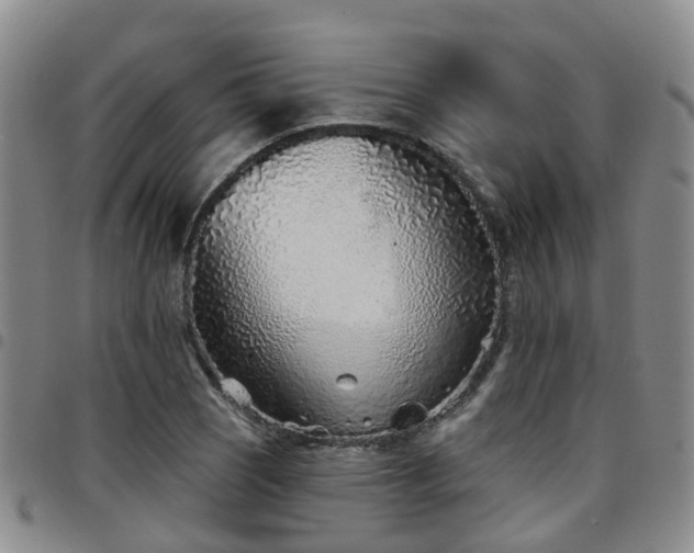 X0000097751121200803141550