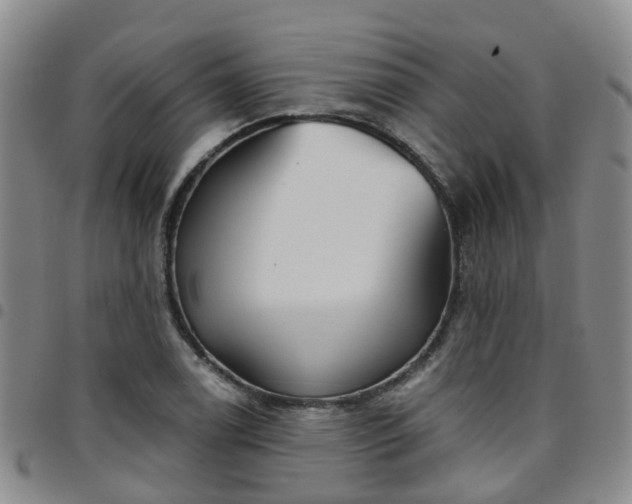 X0000097751122200803141550