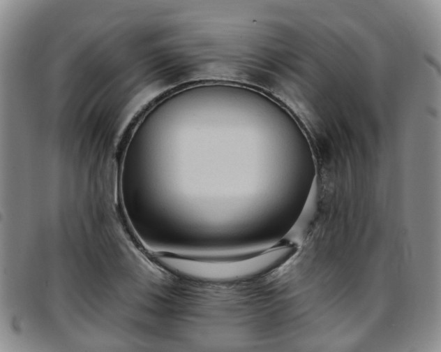 X0000097751123200803141550