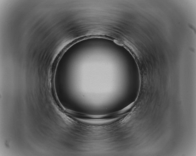 X0000097751124200803141550