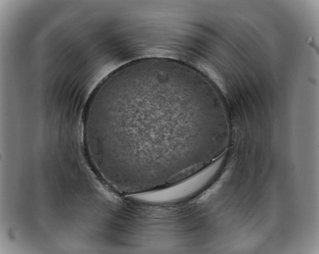 X0000097751125200803141550