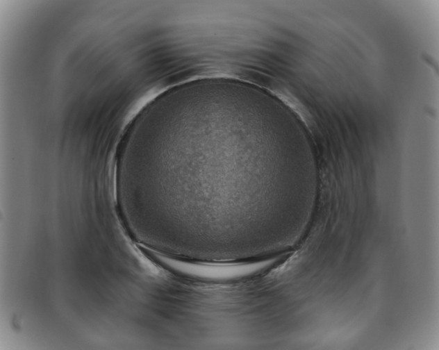 X0000097751127200803141550