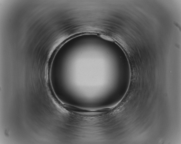 X0000097751128200803141550