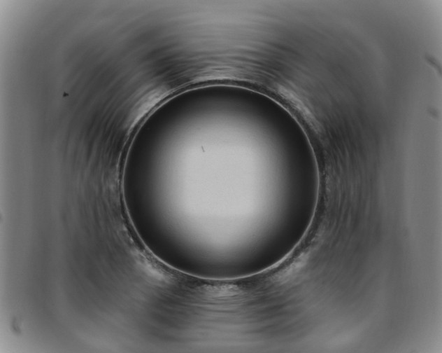 X0000097751129200803141550