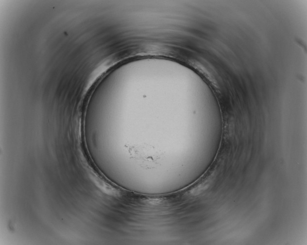 X0000097751130200803141550