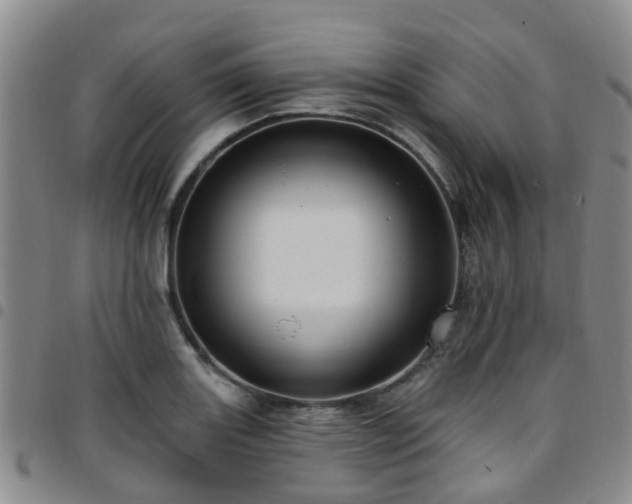 X0000097751131200803141551