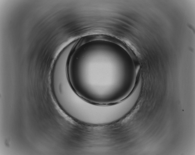 X0000097751134200803141551