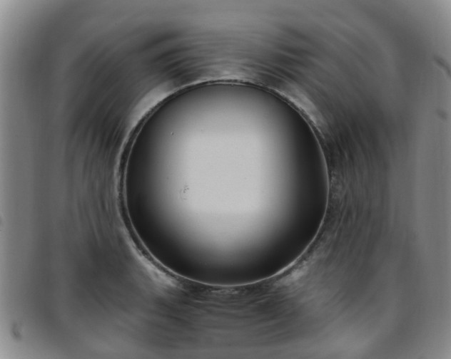 X0000097751135200803141551