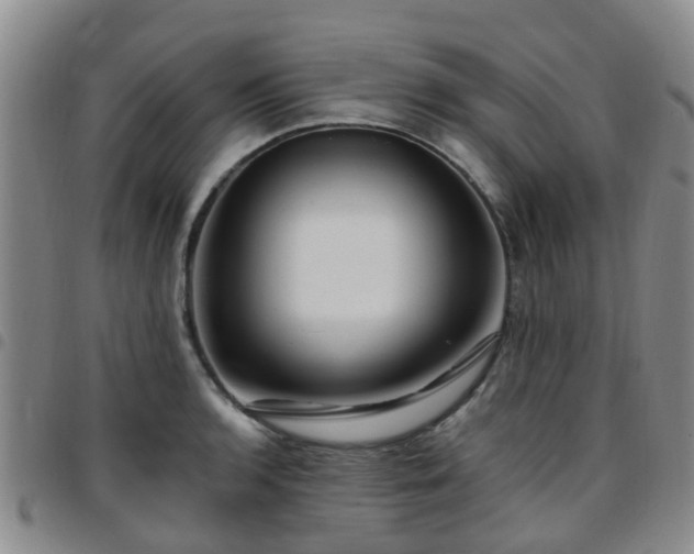 X0000097751136200803141551