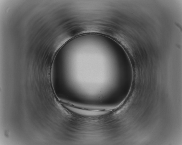 X0000097751137200803141551