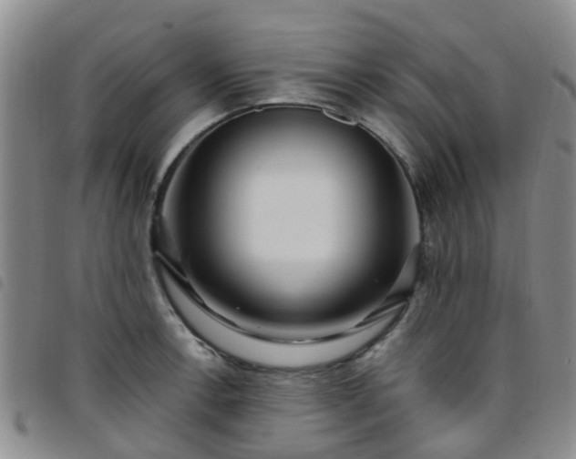 X0000097751138200803141551