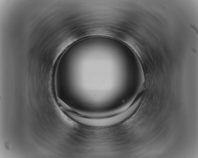 X0000097751139200803141551