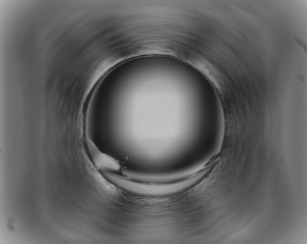 X0000097751140200803141551