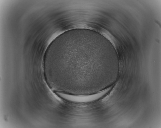 X0000097751141200803141551