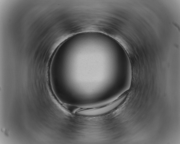 X0000097751142200803141551