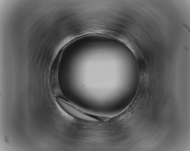 X0000097751143200803141551