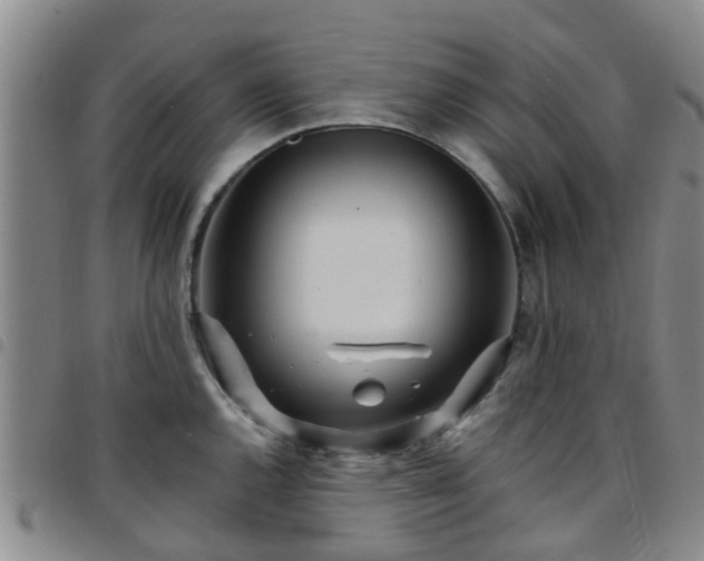 X0000097751144200803141551