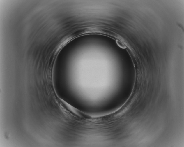 X0000097751145200803141551