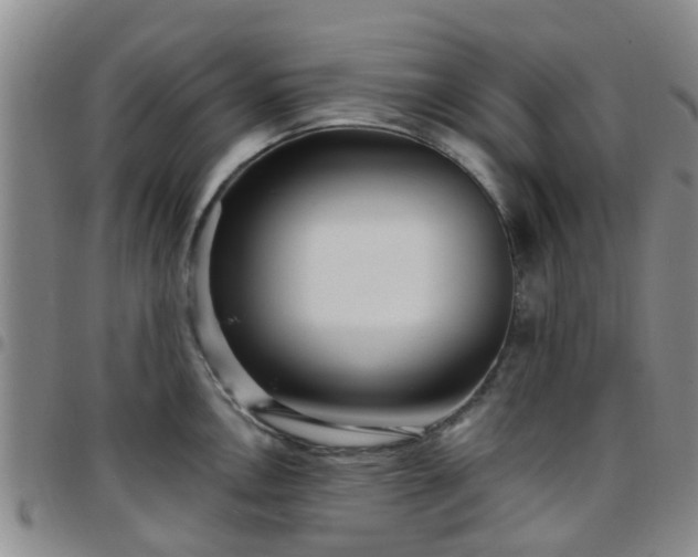 X0000097751146200803141551