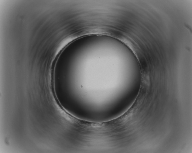 X0000097751147200803141551