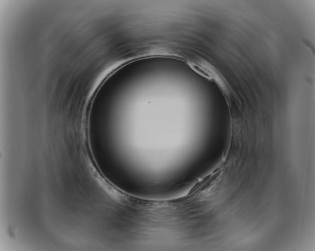 X0000097751148200803141551