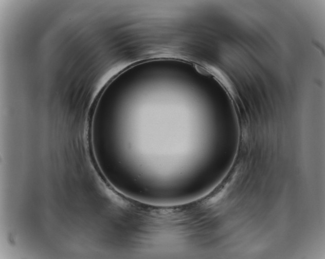 X0000097751149200803141551