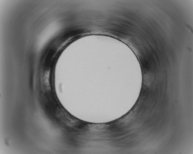 X0000097751150200803141551