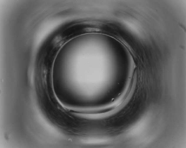 X0000097751151200803141551