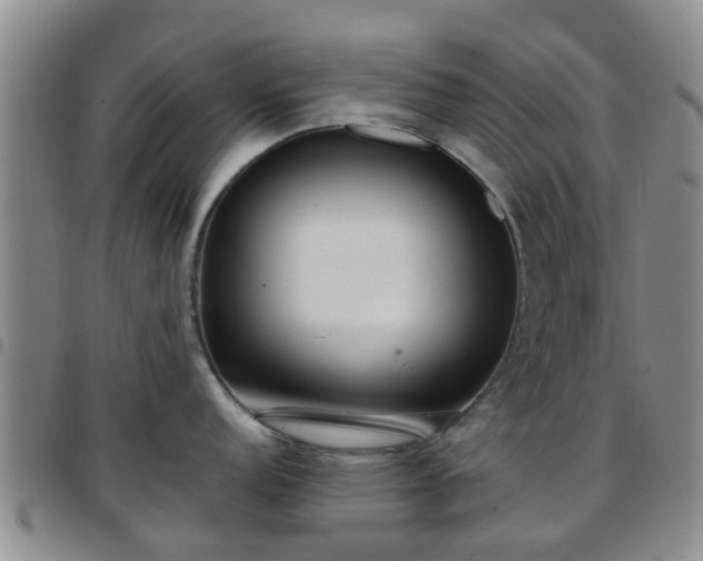 X0000097751152200803141551