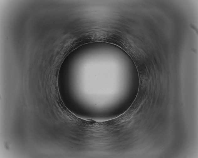 X0000097751153200803141550