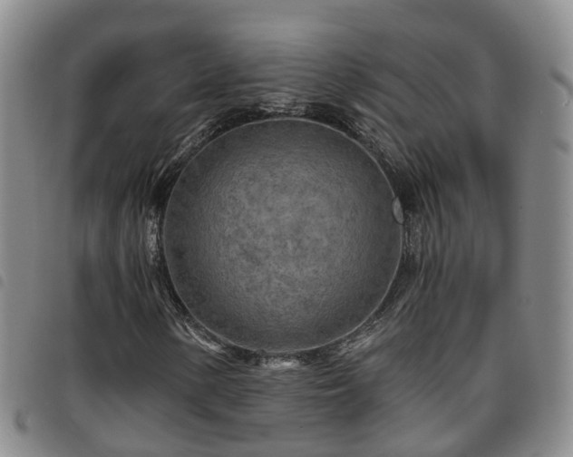 X0000097751154200803141550