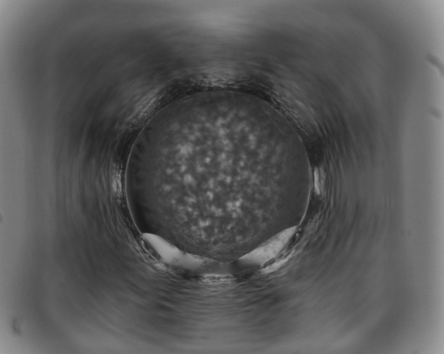 X0000097751155200803141550