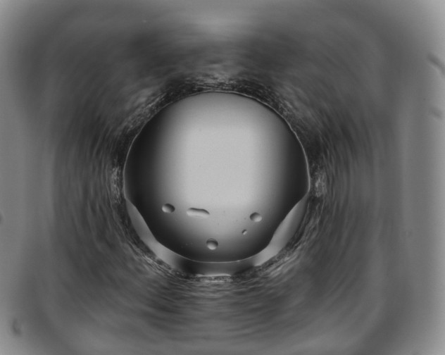 X0000097751156200803141550