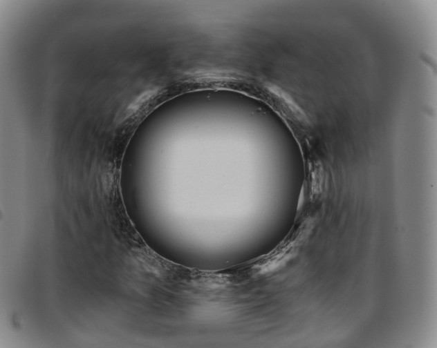 X0000097751157200803141550