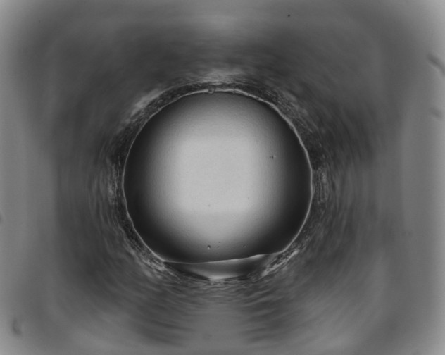 X0000097751158200803141550