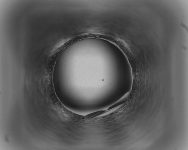 X0000097751159200803141550