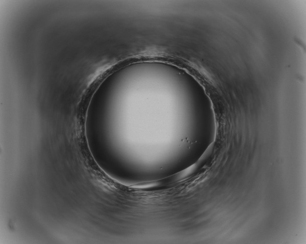 X0000097751160200803141550