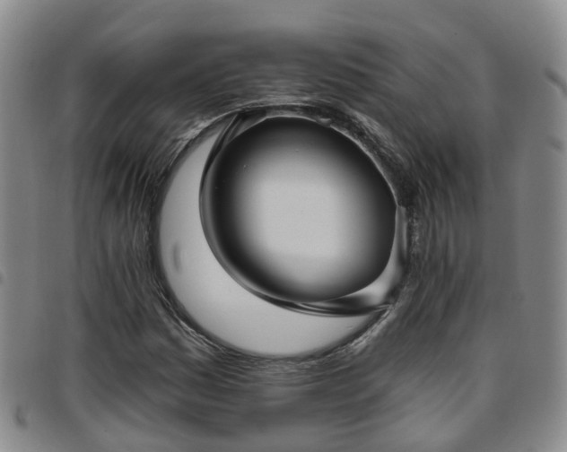 X0000097751161200803141550