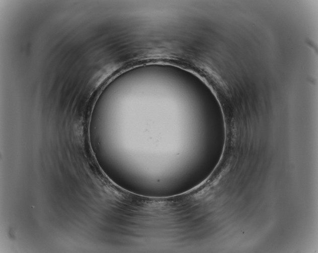 X0000097751162200803141550