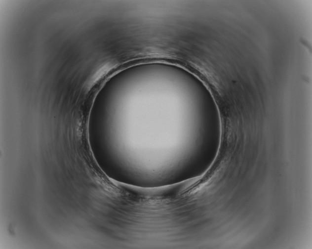 X0000097751163200803141550