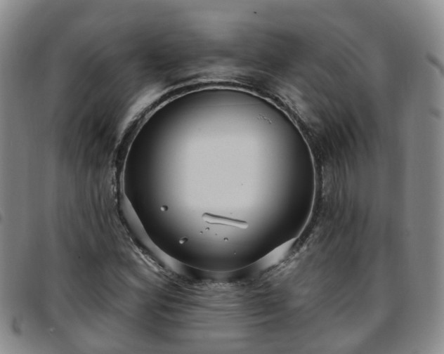 X0000097751164200803141550