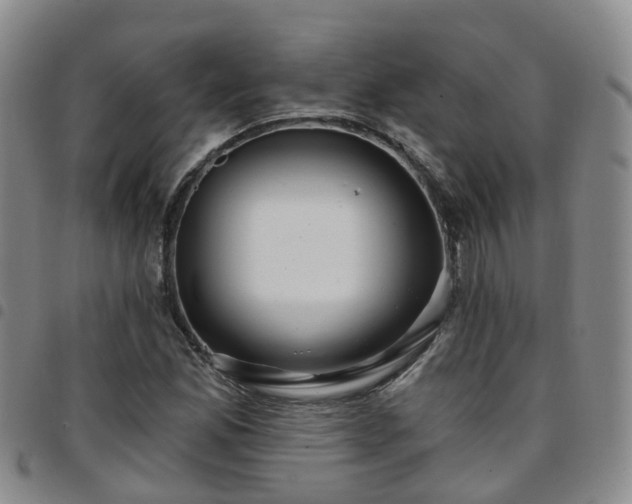 X0000097751165200803141550