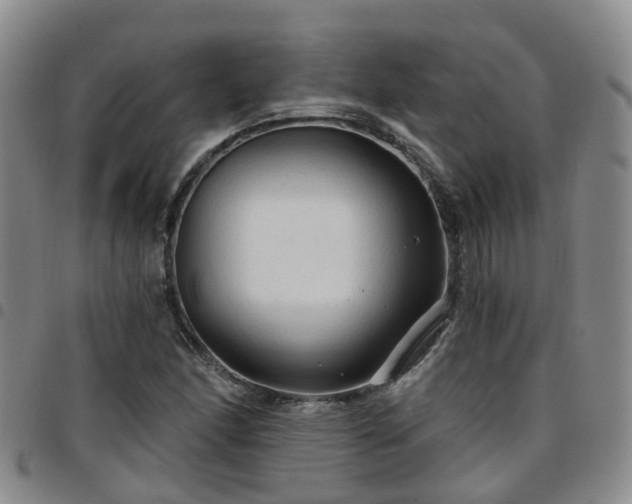 X0000097751166200803141550