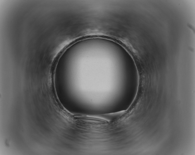 X0000097751167200803141550