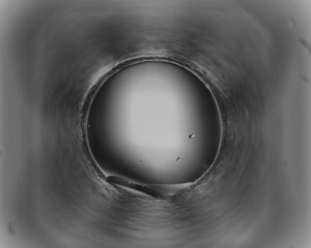 X0000097751168200803141550