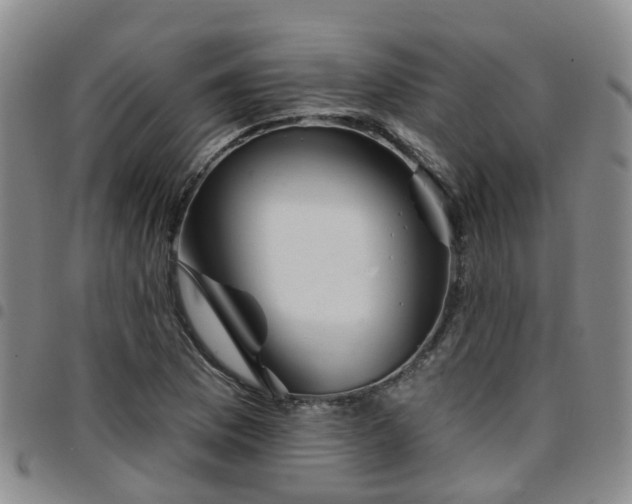 X0000097751169200803141550