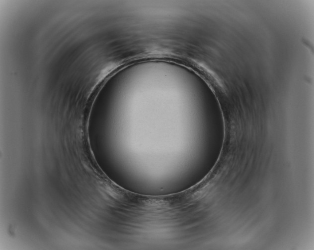 X0000097751170200803141550