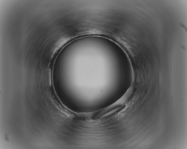 X0000097751171200803141550