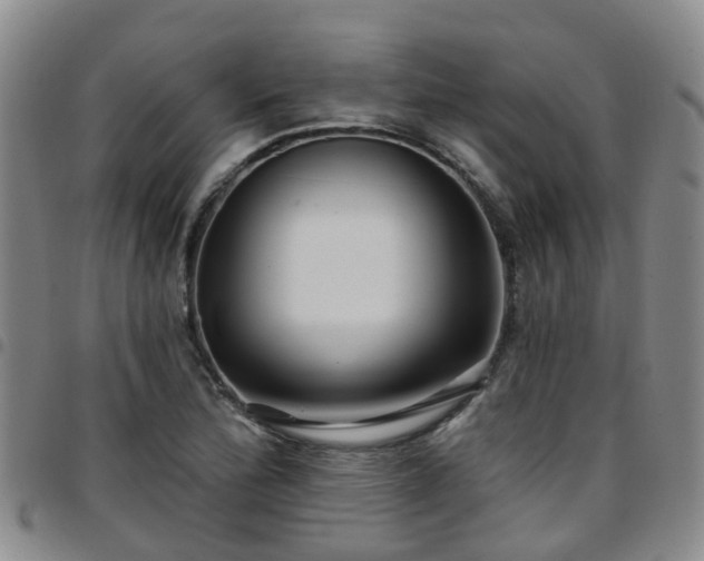 X0000097751172200803141550