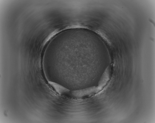 X0000097751173200803141550